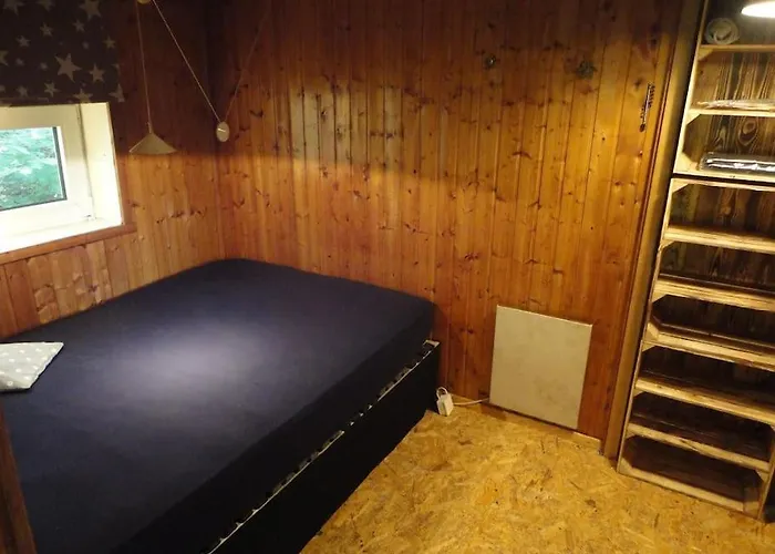 Ponderosa-hütte Im Wald *