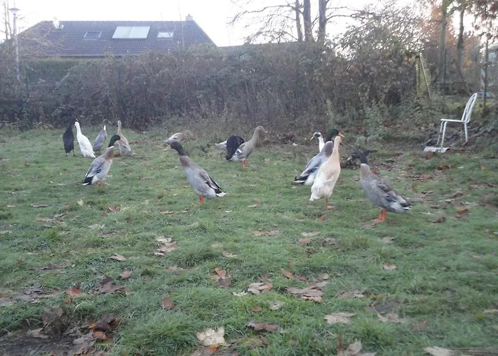 Ponderosa-hütte Im Wald Сasa de vacaciones